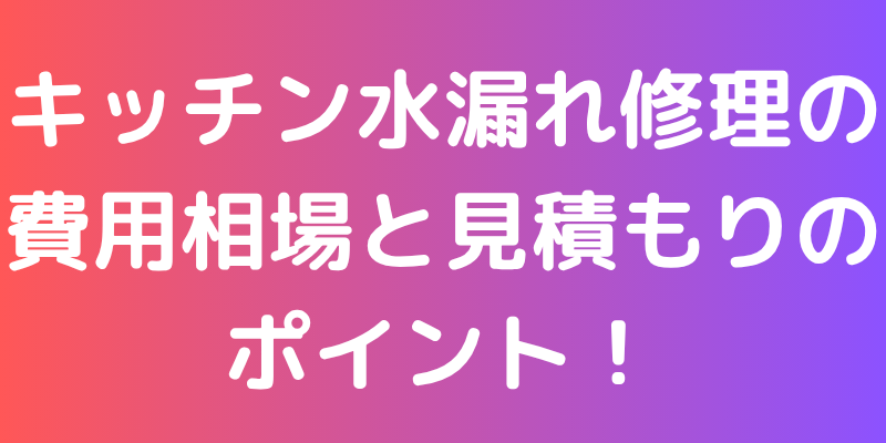 キッチン水漏れ修理